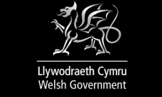 Welsh Government